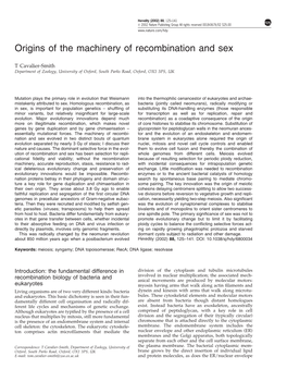 Origins of the Machinery of Recombination and Sex