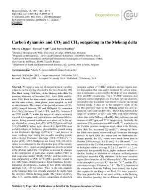 Carbon Dynamics and CO2 and CH4 Outgassing in the Mekong Delta