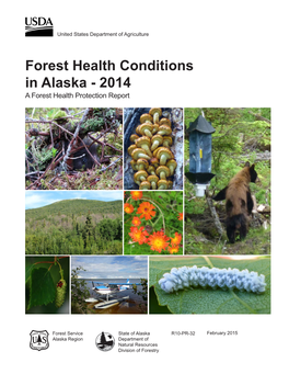 Forest Health Conditions Report