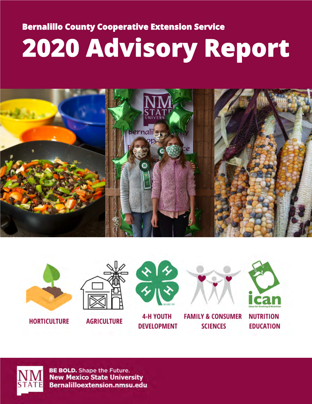 2020 Advisory Report Table of Contents