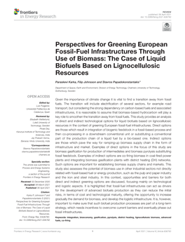 Perspectives for Greening European Fossil-Fuel Infrastructures Through Use of Biomass: the Case of Liquid Biofuels Based on Lignocellulosic Resources