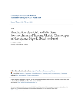 Identification of Pmt, Tr1, and H6h Gene Polymorphism and Tropane Alkaloid Chemotypes in Hyoscyamus Niger L