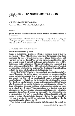 Culture of Gymnosperm Tissue in Vitro