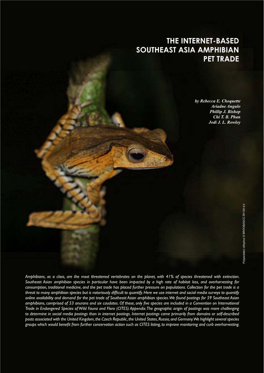 The Internet-Based Southeast Asia Amphibian Pet Trade