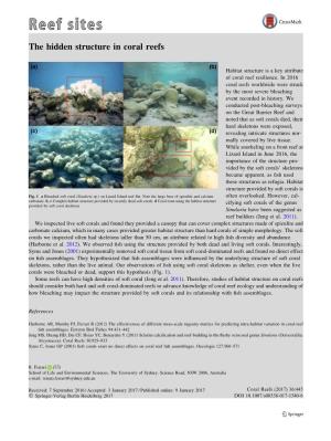 The Hidden Structure in Coral Reefs