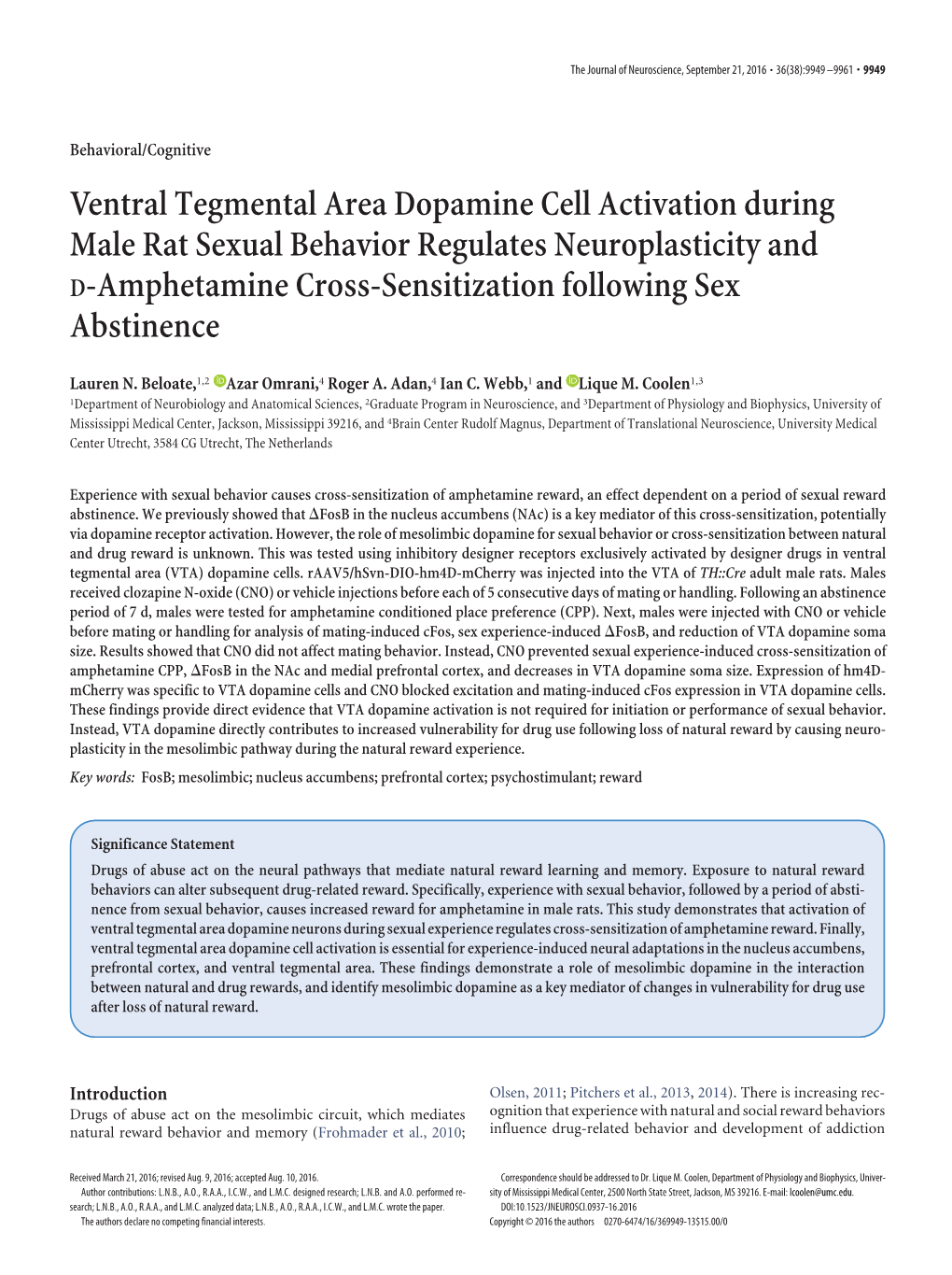 Ventral Tegmental Area Dopamine Cell Activation During Male Rat