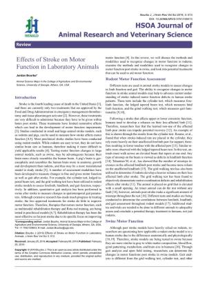 Effects of Stroke on Motor Function in Laboratory Animals