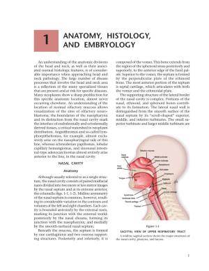Anatomy, Histology, and Embryology