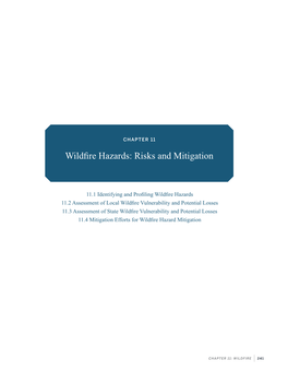 Wildfire Hazards: Risks and Mitigation