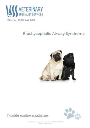 Brachycephalic Airway Syndrome