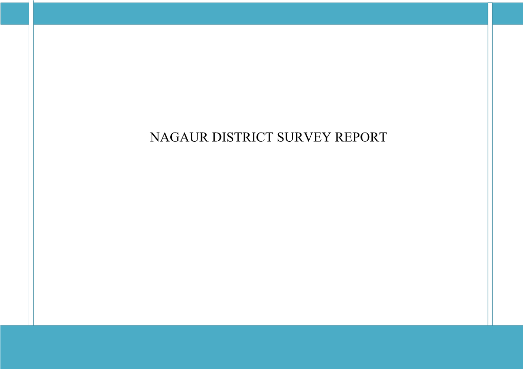 Nagaur District Survey Report
