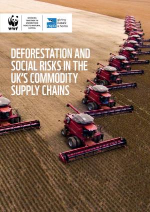 Deforestation and Social Risks in the Uk's Commodity