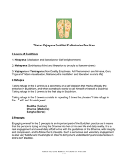 Tibetan Vajrayana Buddhist Preliminaries Practices 3 Levels Of