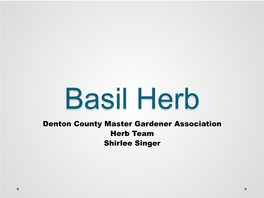 Basil Herb Presentation