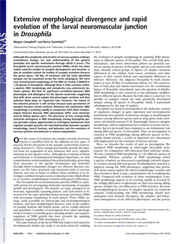 Extensive Morphological Divergence and Rapid Evolution of the Larval Neuromuscular Junction in Drosophila