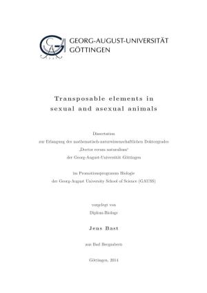 Transposable Elements in Sexual and Asexual Animals
