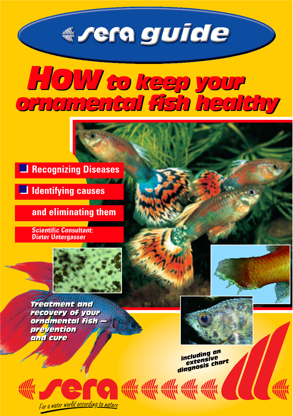 Howto Keep Your Ornamental Fish Healthy