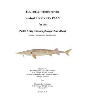 US Fish & Wildlife Service Revised