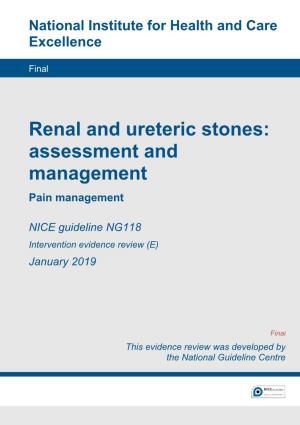 Evidence Review E: Pain Management
