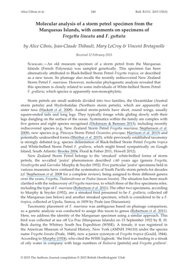 Molecular Analysis of a Storm Petrel Specimen from the Marquesas Islands, with Comments on Specimens of Fregetta Lineata and F