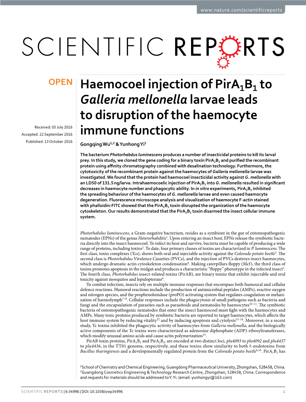 Haemocoel Injection of Pira1b1 to Galleria Mellonella Larvae Leads To