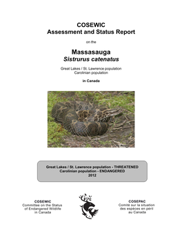 COSEWIC Assessment and Status Report on the Massasauga Sistrurus Catenatus in Canada