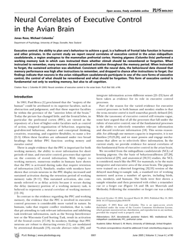 Neural Correlates of Executive Control in the Avian Brain