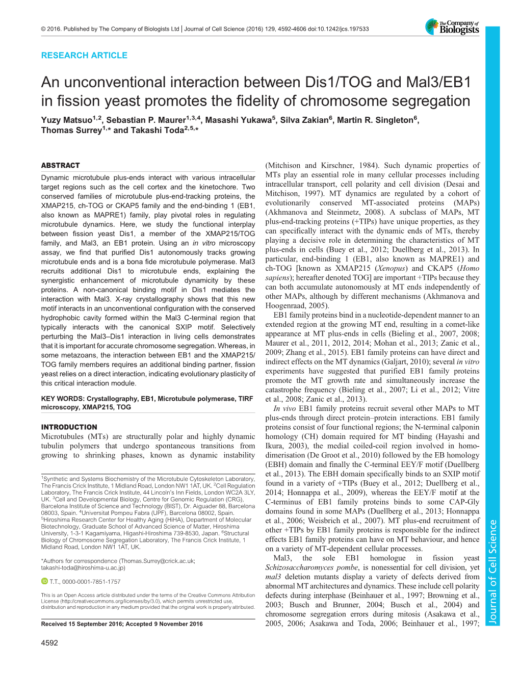 An Unconventional Interaction Between Dis1/TOG and Mal3/EB1 in Fission Yeast Promotes the Fidelity of Chromosome Segregation Yuzy Matsuo1,2, Sebastian P