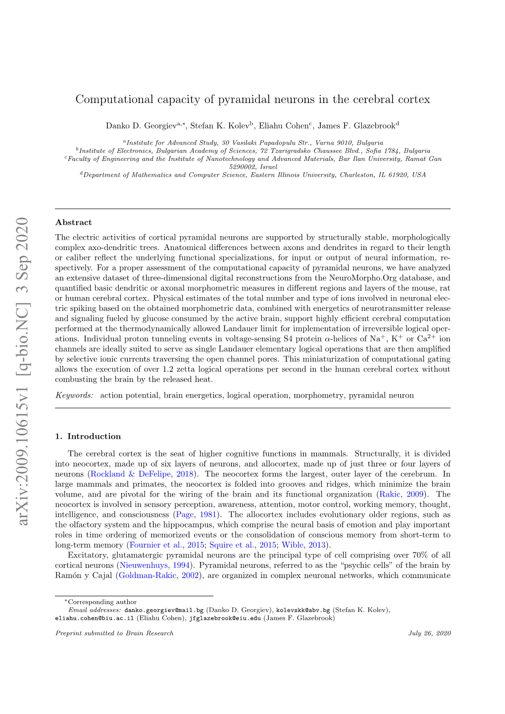 Computational Capacity of Pyramidal Neurons in the Cerebral Cortex