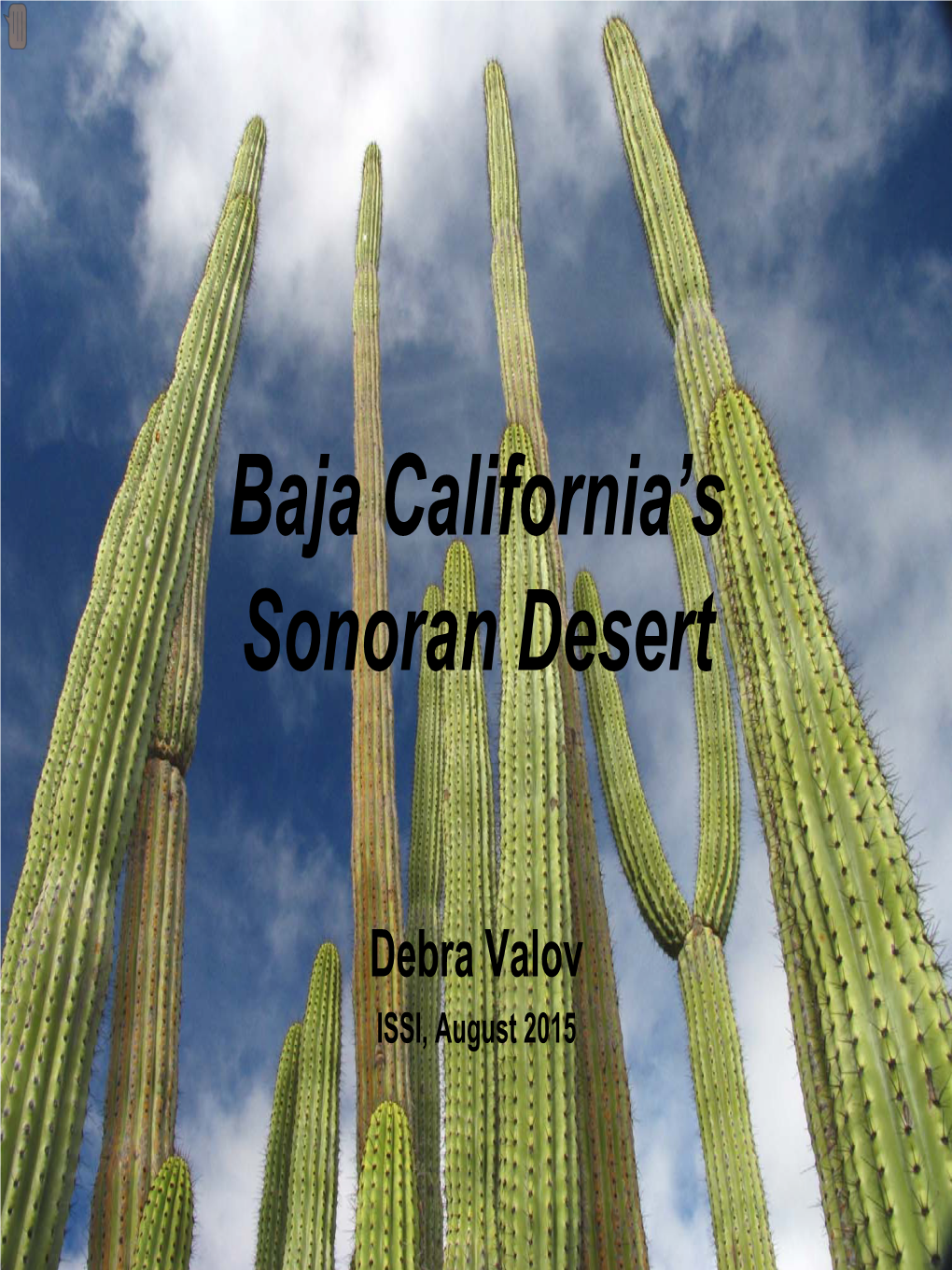 Baja California´S Sonoran Desert