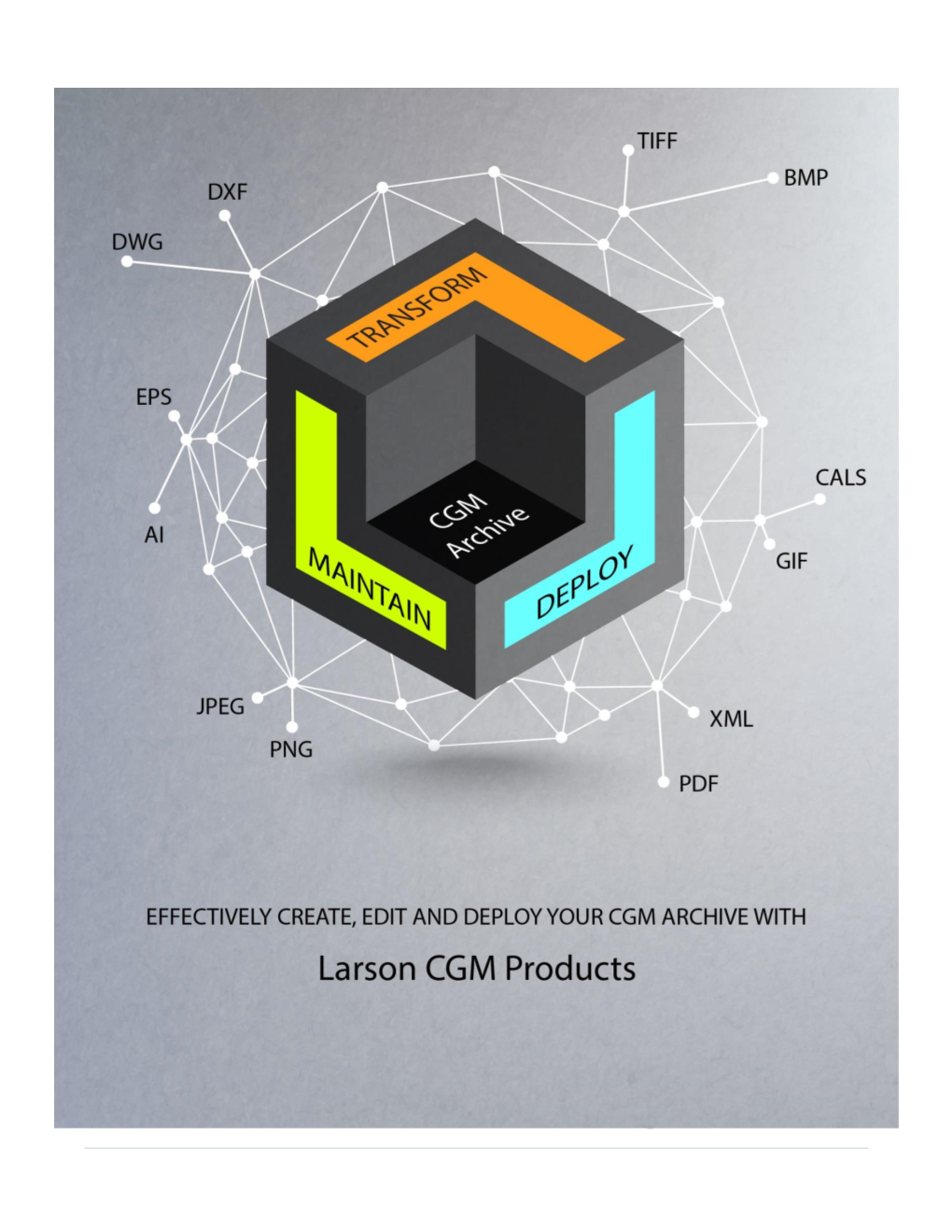 CGM Whitepaper