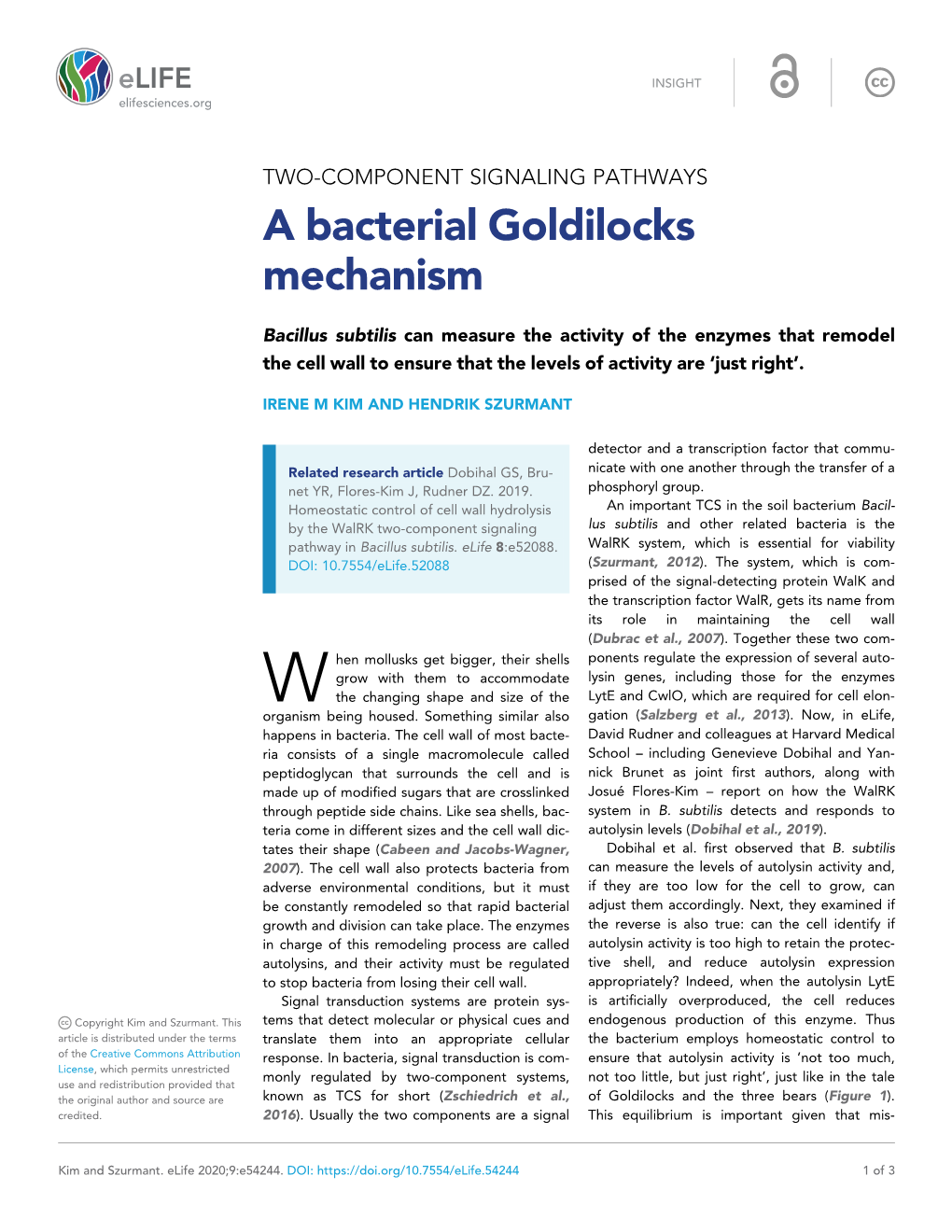 A Bacterial Goldilocks Mechanism