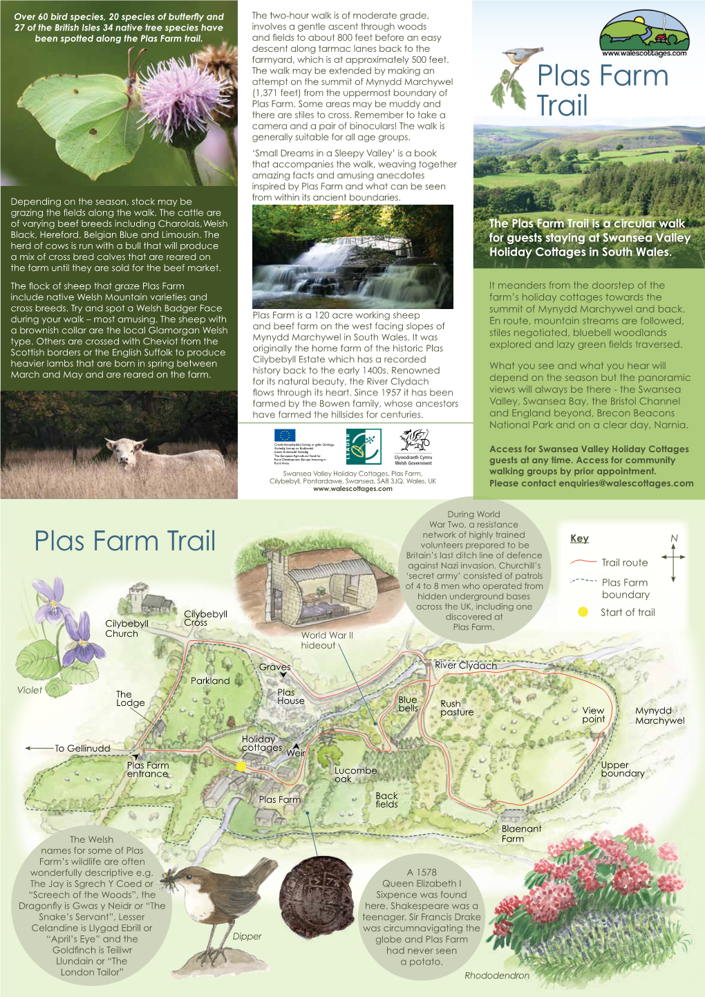 The Plas Farm Trail.Pdf