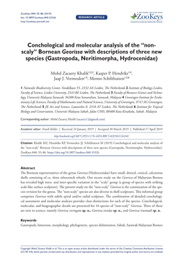 Conchological and Molecular Analysis of the “Non-Scaly” Bornean Georissa with Descriptions of Three New Species (Gastropoda, Neritimorpha, Hydrocenidae)