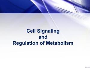 Cell Signaling and Regulation of Metabolism Objectives