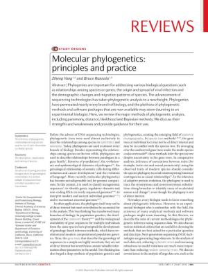 Molecular Phylogenetics: Principles and Practice