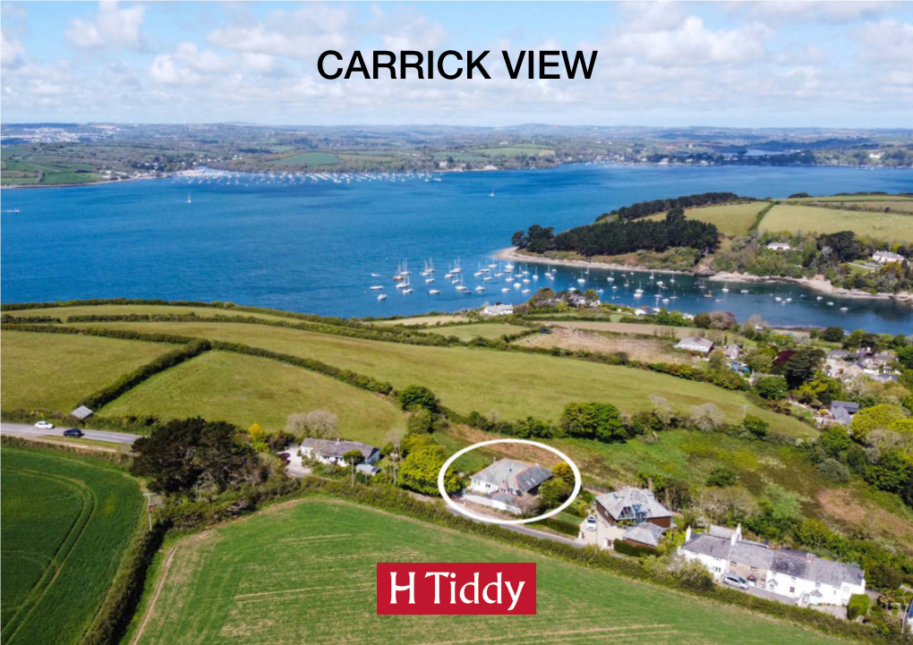 Carrick View