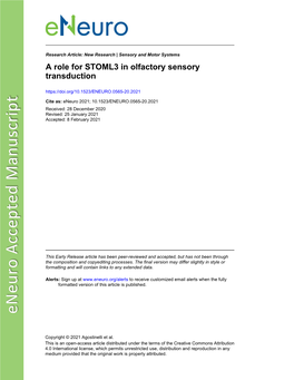 A Role for STOML3 in Olfactory Sensory Transduction