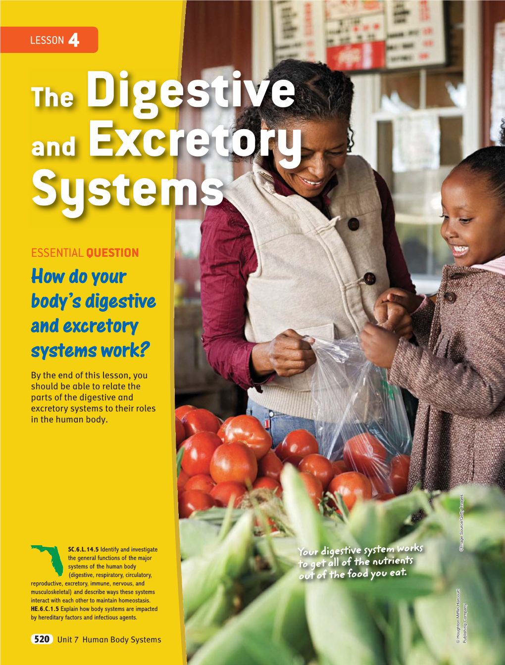 The Digestive and Excretory Systems 521 You Are What You 5 Identify ACTIVE 522 Nutrients