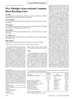 Five Multiple-Virus-Resistant Common Bean Breeding Lines