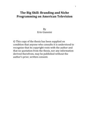 Branding and Niche Programming on American Television
