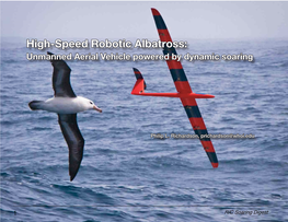 High-Speed Robotic Albatross: Unmanned Aerial Vehicle Powered by Dynamic Soaring