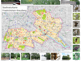 Stadtnaturkarte Friedrichshain-Kreuzberg