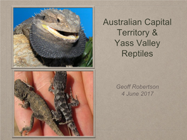 Australian Capital Territory & Yass Valley Reptiles