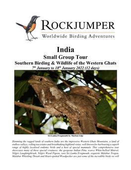 Small Group Tour Southern Birding & Wildlife of the Western Ghats 7Th January to 18Th January 2022 (12 Days)