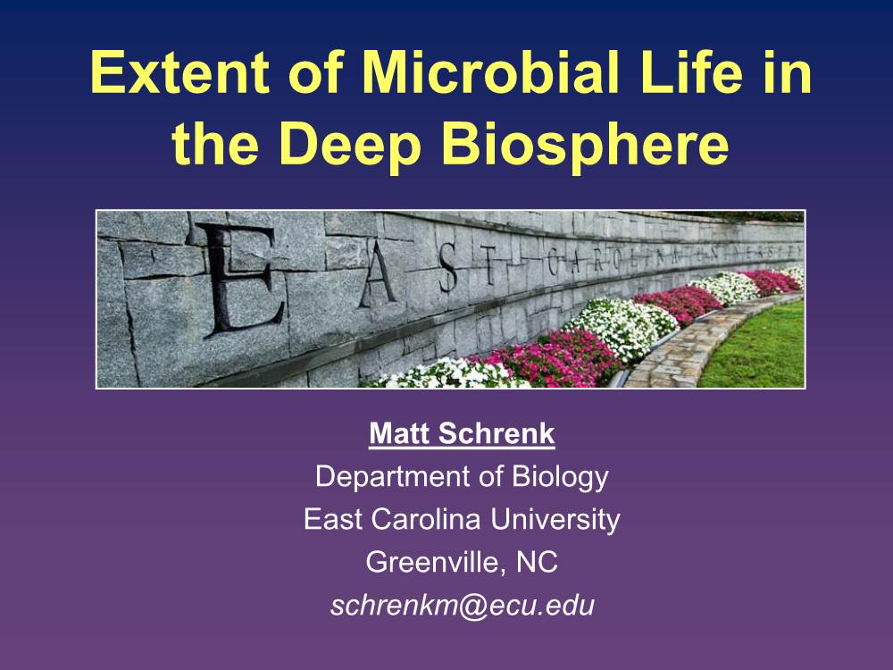 Microbial Biosphere