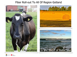 Fiber Roll-Out to All of Region Gotland