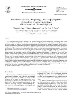 Mitochondrial DNA, Morphology, and the Phylogenetic Relationships of Antarctic Icefishes