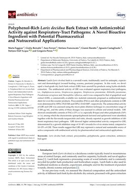 Polyphenol-Rich Larix Decidua Bark Extract with Antimicrobial Activity