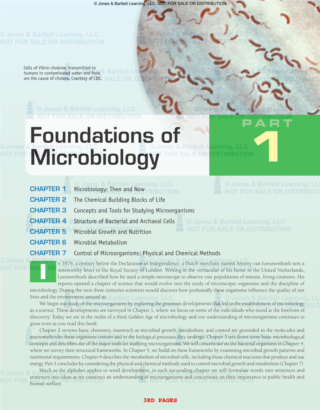 Foundations of Microbiology 51